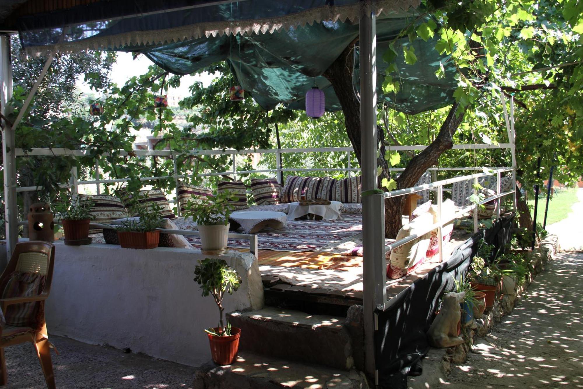 פטארה Rose Hotel B&B מראה חיצוני תמונה