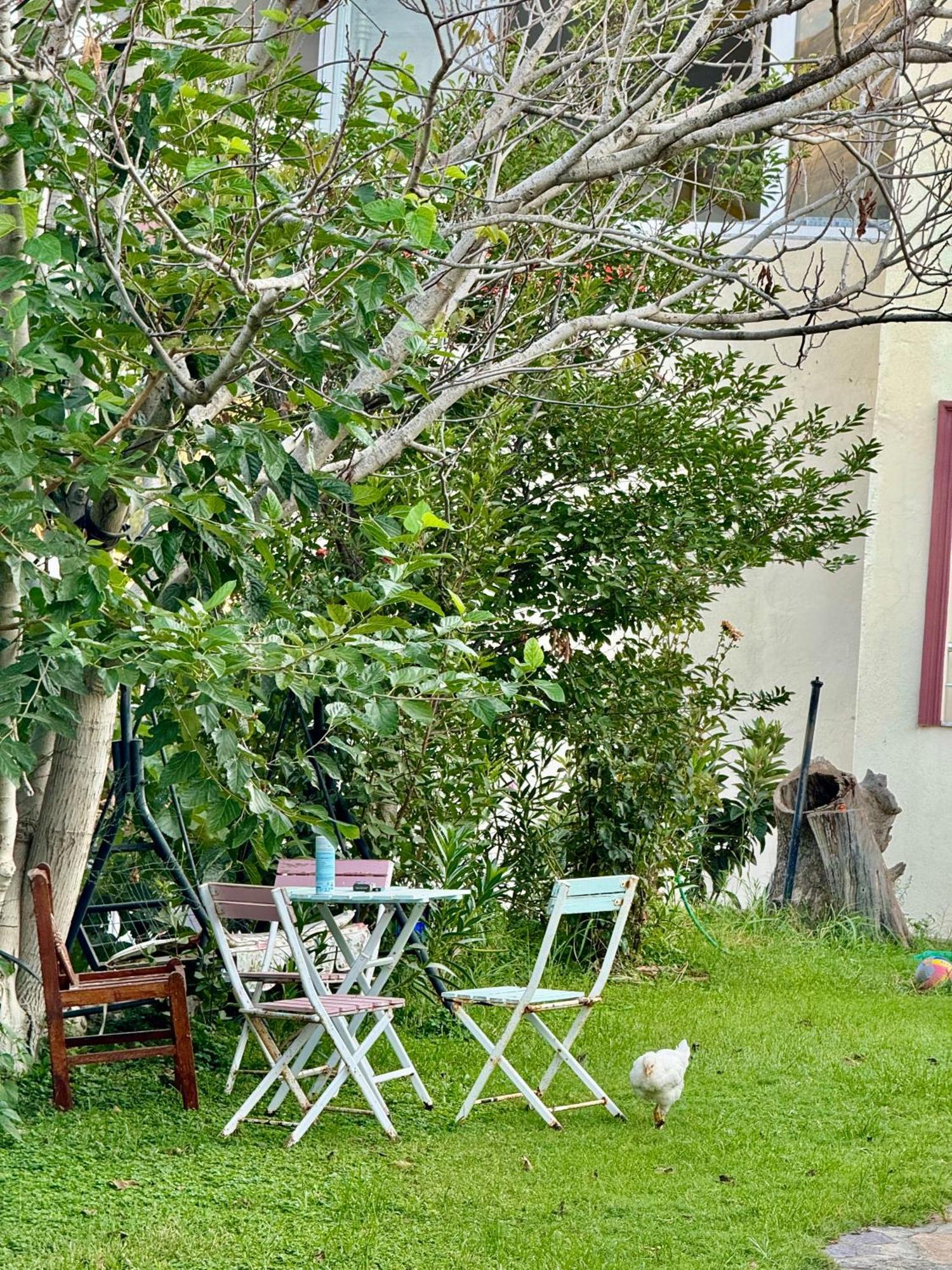 פטארה Rose Hotel B&B מראה חיצוני תמונה