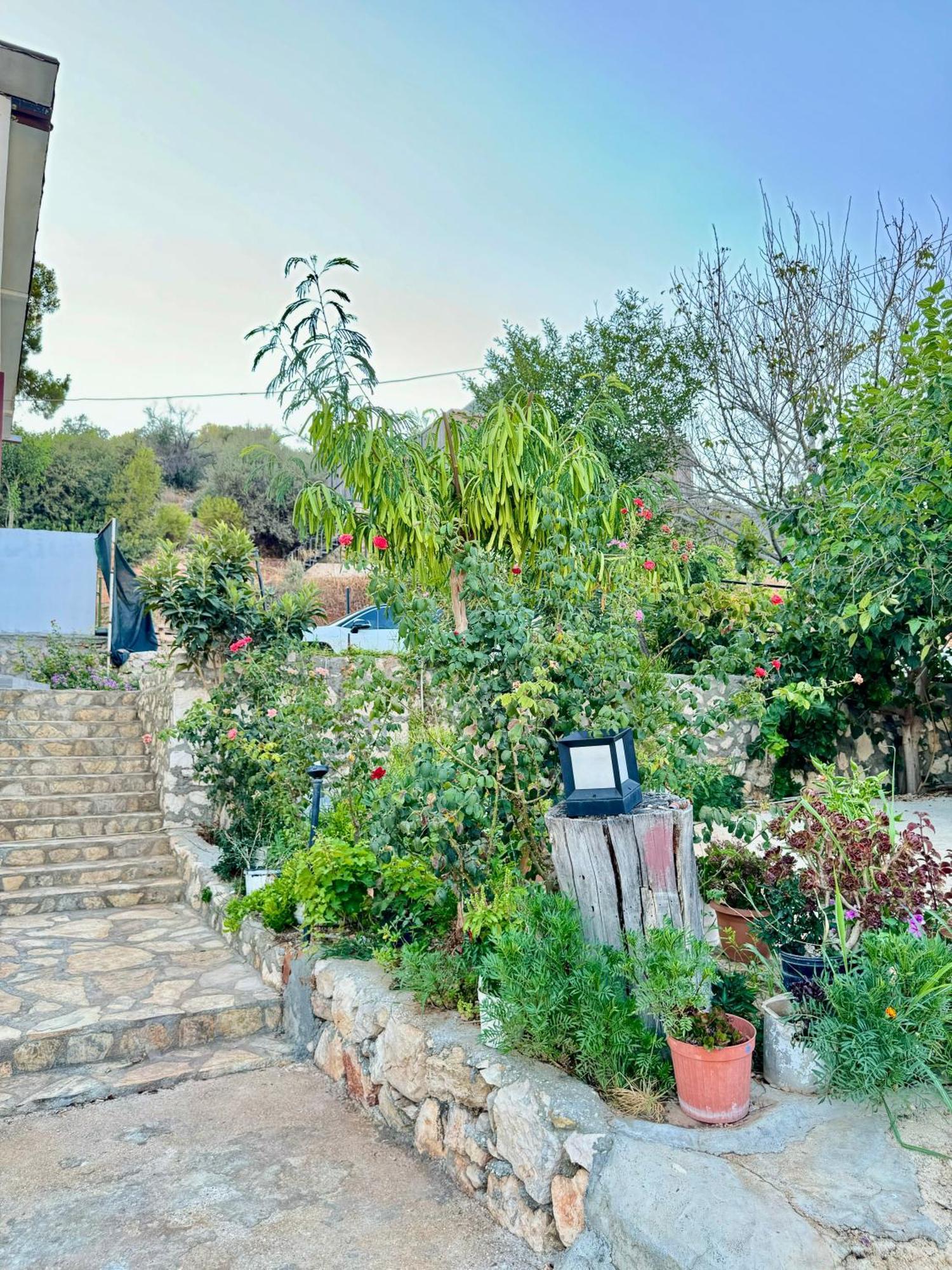 פטארה Rose Hotel B&B מראה חיצוני תמונה