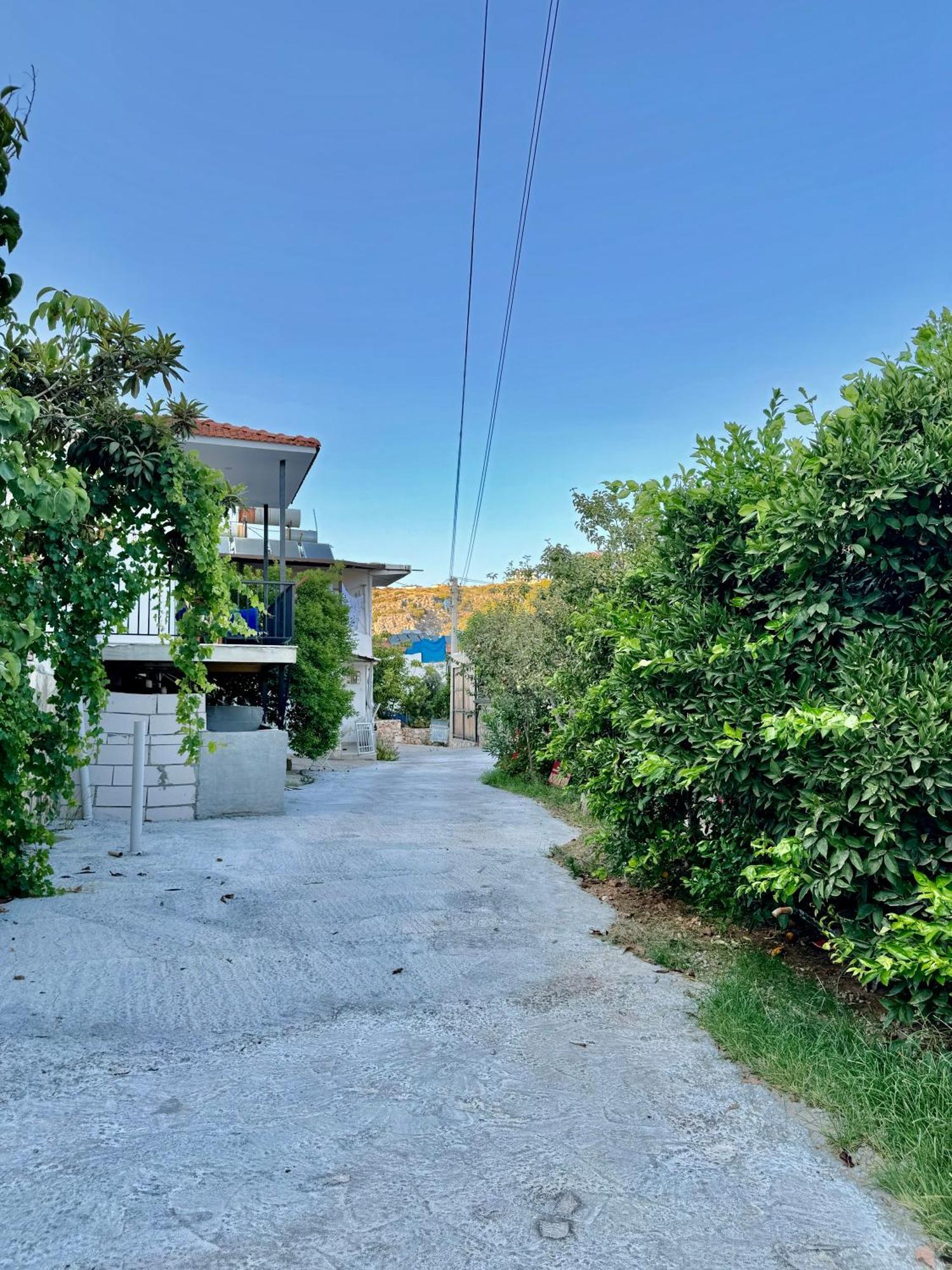 פטארה Rose Hotel B&B מראה חיצוני תמונה