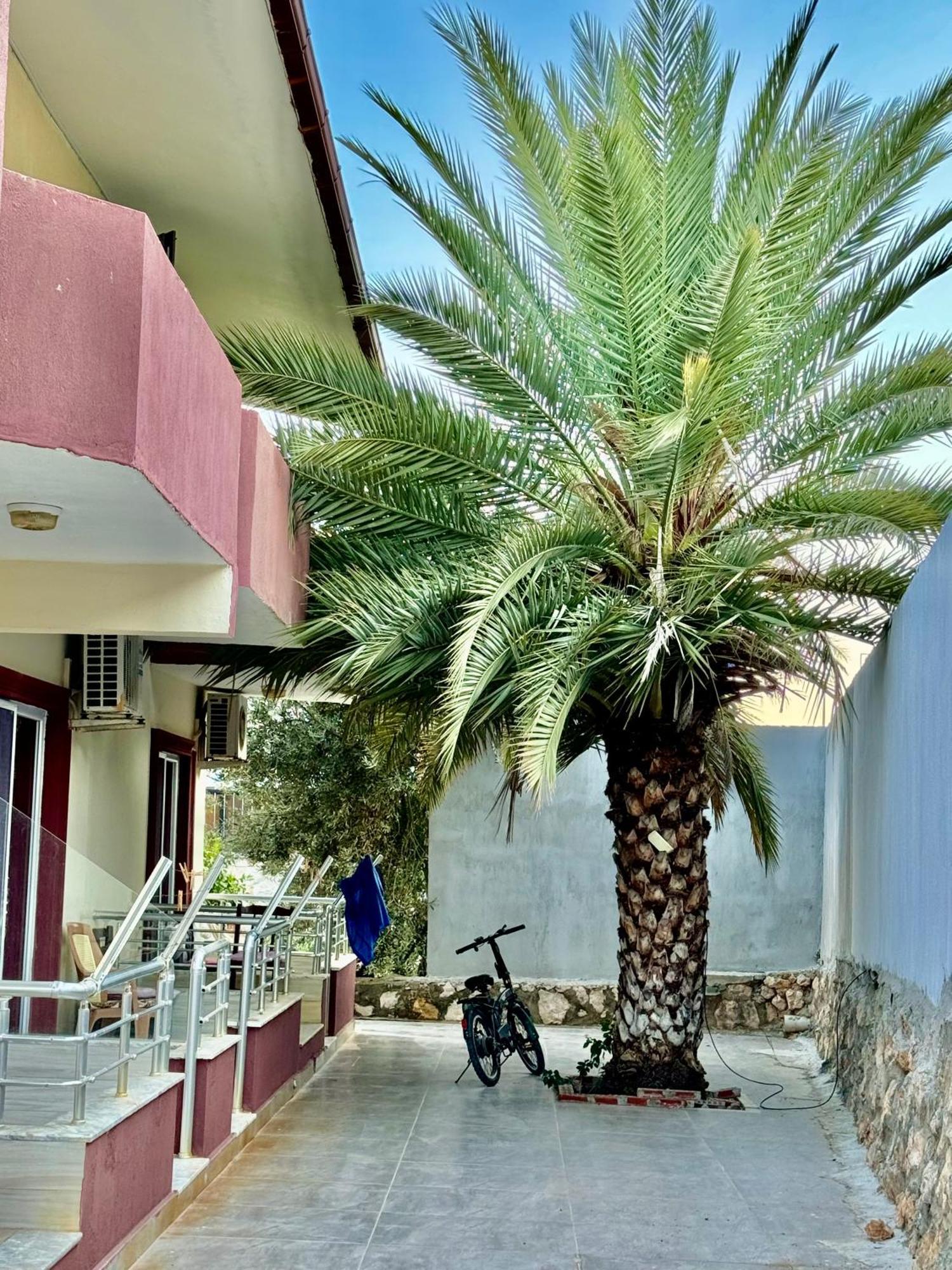 פטארה Rose Hotel B&B מראה חיצוני תמונה