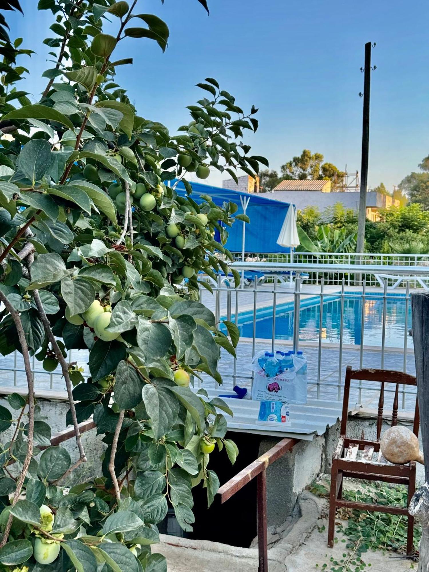 פטארה Rose Hotel B&B מראה חיצוני תמונה