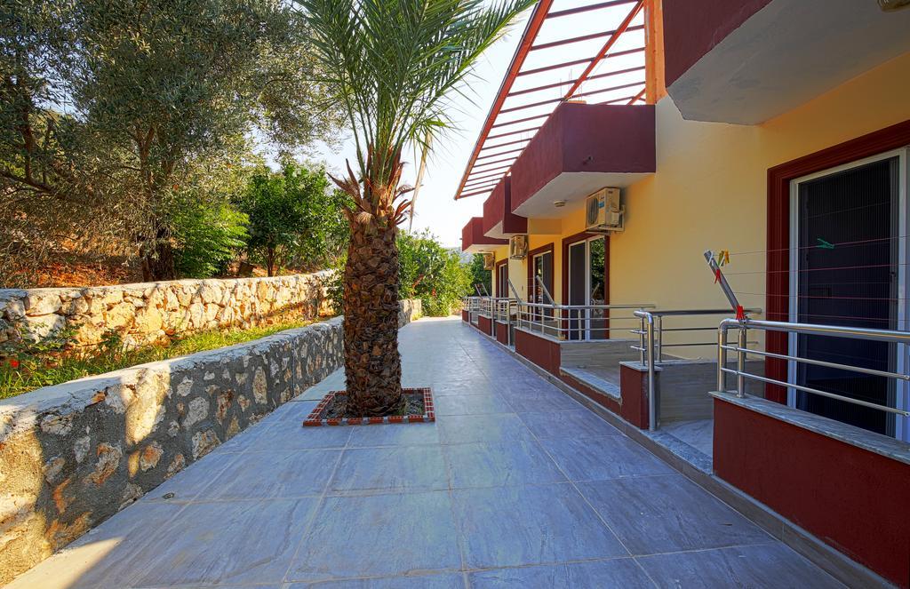 פטארה Rose Hotel B&B מראה חיצוני תמונה